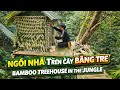 Ngôi Nhà Trên Cây Bằng Tre | Bamboo Treehouse in the Jungle