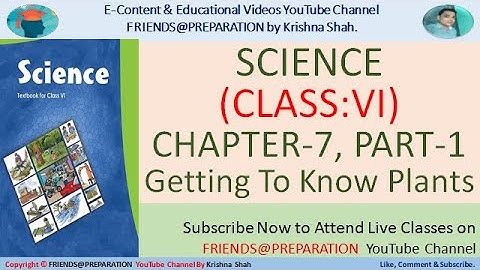 L7 Getting To Know Plants Part-1  By KrishnaShah Science Class VI Chapter7 NCERT Book Class6  Plants