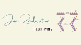 DNA Replication Theory Part 2 | Easy Explanation, Steps, Enzymes & Mechanism