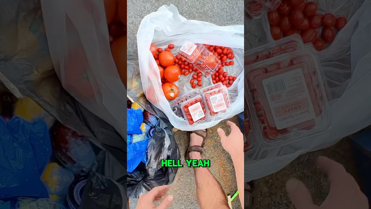 A chicken’s dream dumpster 