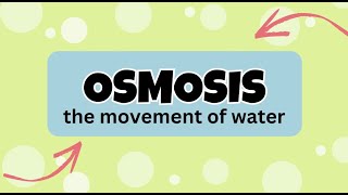 TLE-6 Performance Task: Salting and Osmosis Experiment using Apple