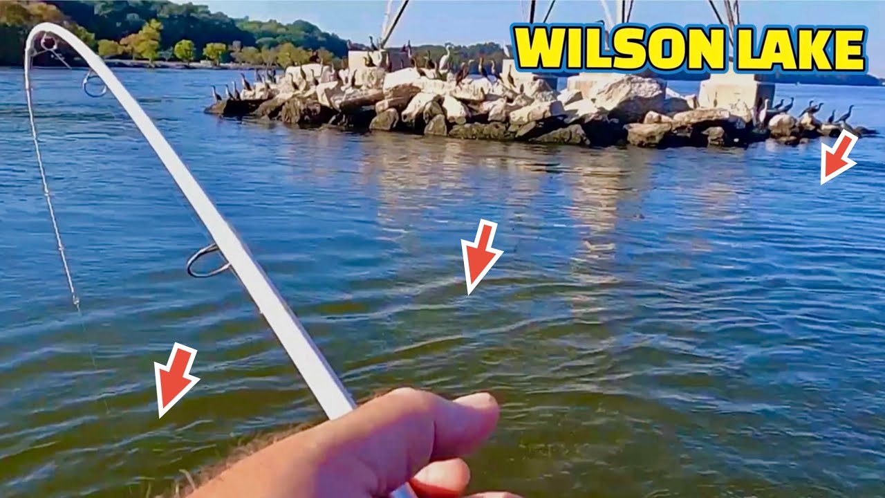 Fishing (CURRENT SEAMS) below Wheeler Dam !!