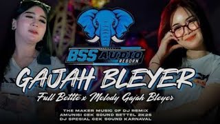 Download Lagu DJ Cek Sound ~ Gajah Bengah Horeg Glerh Kruwek Kruwek MP3