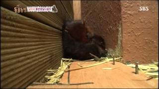 20131117 TV동물농장(다시보기) #2(4)
