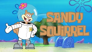 Sandy Squirrel 💖 Spandy AMV