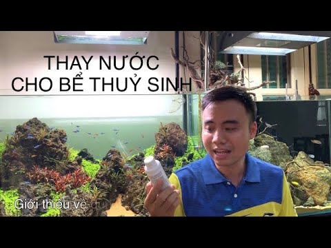 Kinh nghiệm thay nước cho bể cá cảnh, thủy sinh #Greenhappiness