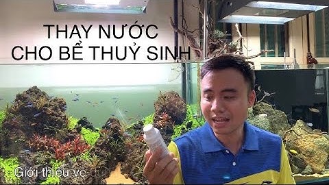 Kinh nghiệm thay nước cho bể cá cảnh, thủy sinh #Greenhappiness