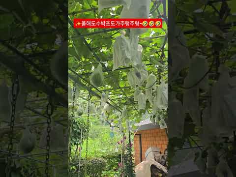 ✨️시골집에서힐링~~^^