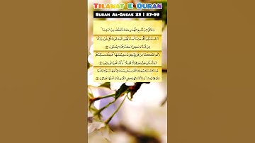 سوره قصص 57-59 #سوره قصص #تلاوت قرآن #کوتاه