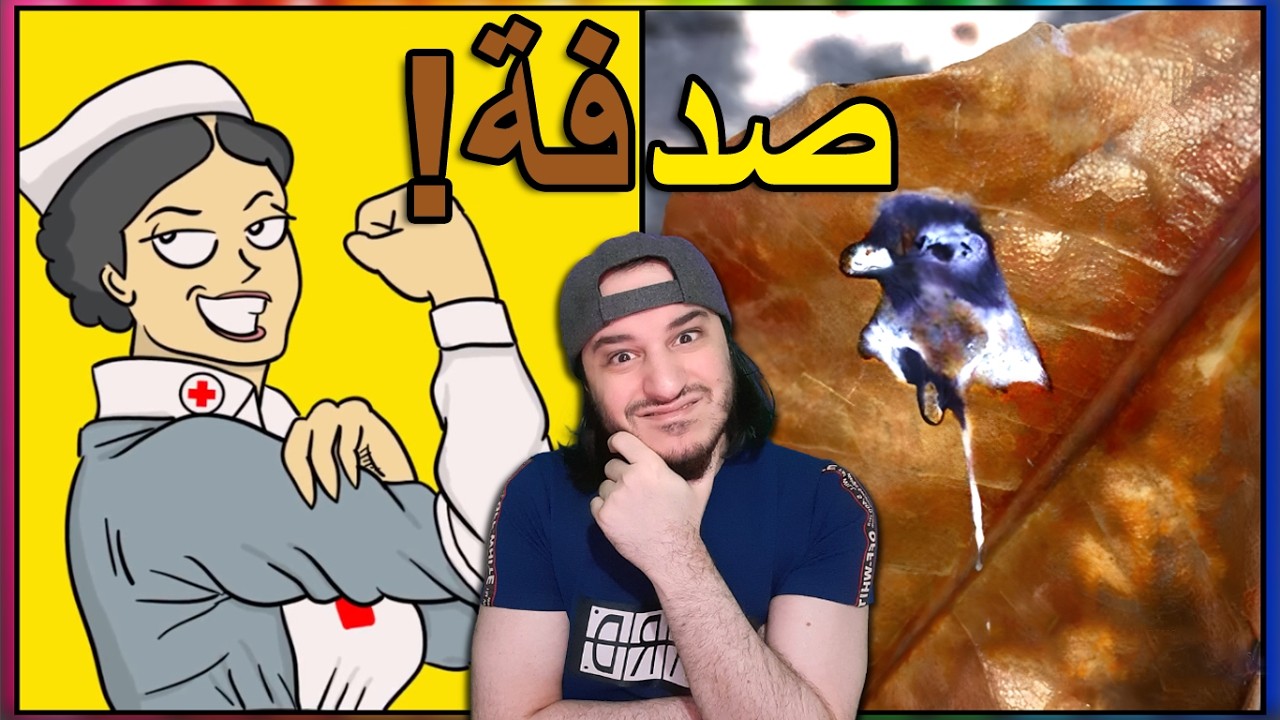 صدف مستحيلة لا تصدق نسبتها واحد في المليون 🤯😲