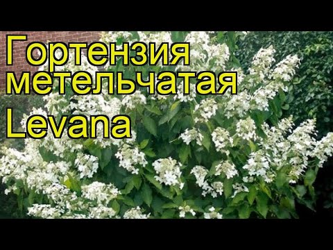 10 популярных мест, чтобы провести медовый месяц