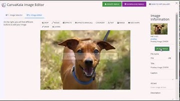 Wordpress photo editing plugin. Canvakala image editing suite