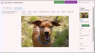 Wordpress photo editing plugin. Canvakala image editing suite