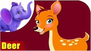 Deer - Animal Rhymes In Ultra Hd 4K