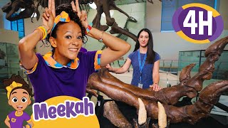 A T-Rex Treasure Hunt at the Museum! | 4 HR OF MEEKAH! | Educational Videos for Kids