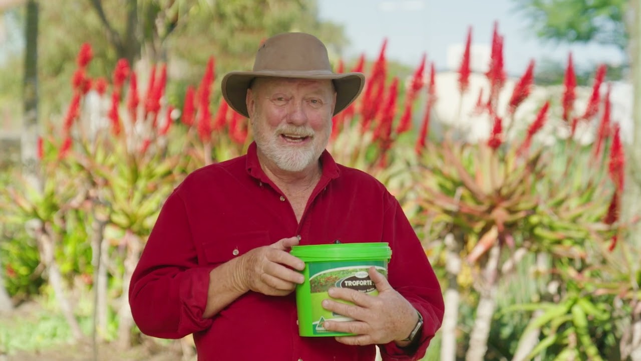 Sustainable Lawn Alternatives in Australia for 2026 & Beyond