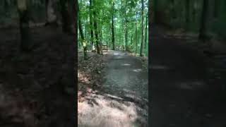 Rock Outcrop Trail at Panola Mountain State Park