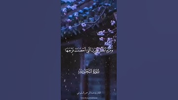 تلاوة هادئة و مؤثرة للقارئ عبدالرحمن البلوشي