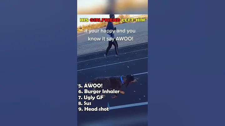 Video 10436491: funnycat cat pet cute, cat dog funny compilation, hilarious cats dogs, adorable cats dogs, cat vs dog