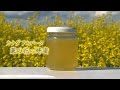 Beeワールド　カナダVol30　アルバータ 菜の花の蜂蜜