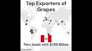 Who exports the most Grapes and Wine