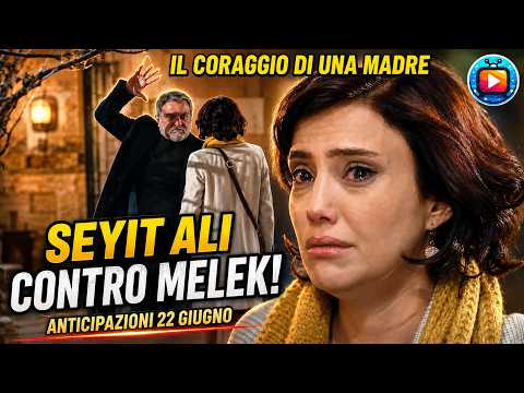 IL CORAGGIO DI UNA MADRE, anticipazioni 22 giugno: Melek parte con Halil, Seyit Ali scopre tutto