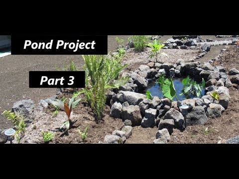 Projects