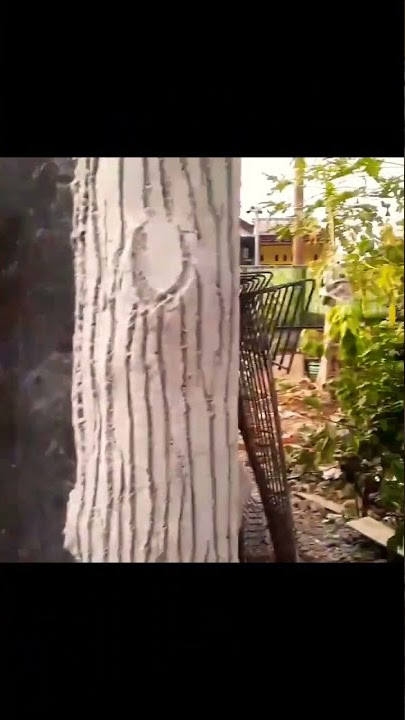 cara bikin pohon menggunakan semen atau adukan