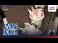 Mahigit isang tonelada ng mga karne na hindi dumaan sa pagsusuri, kinumpiska; mga... | Unang Balita