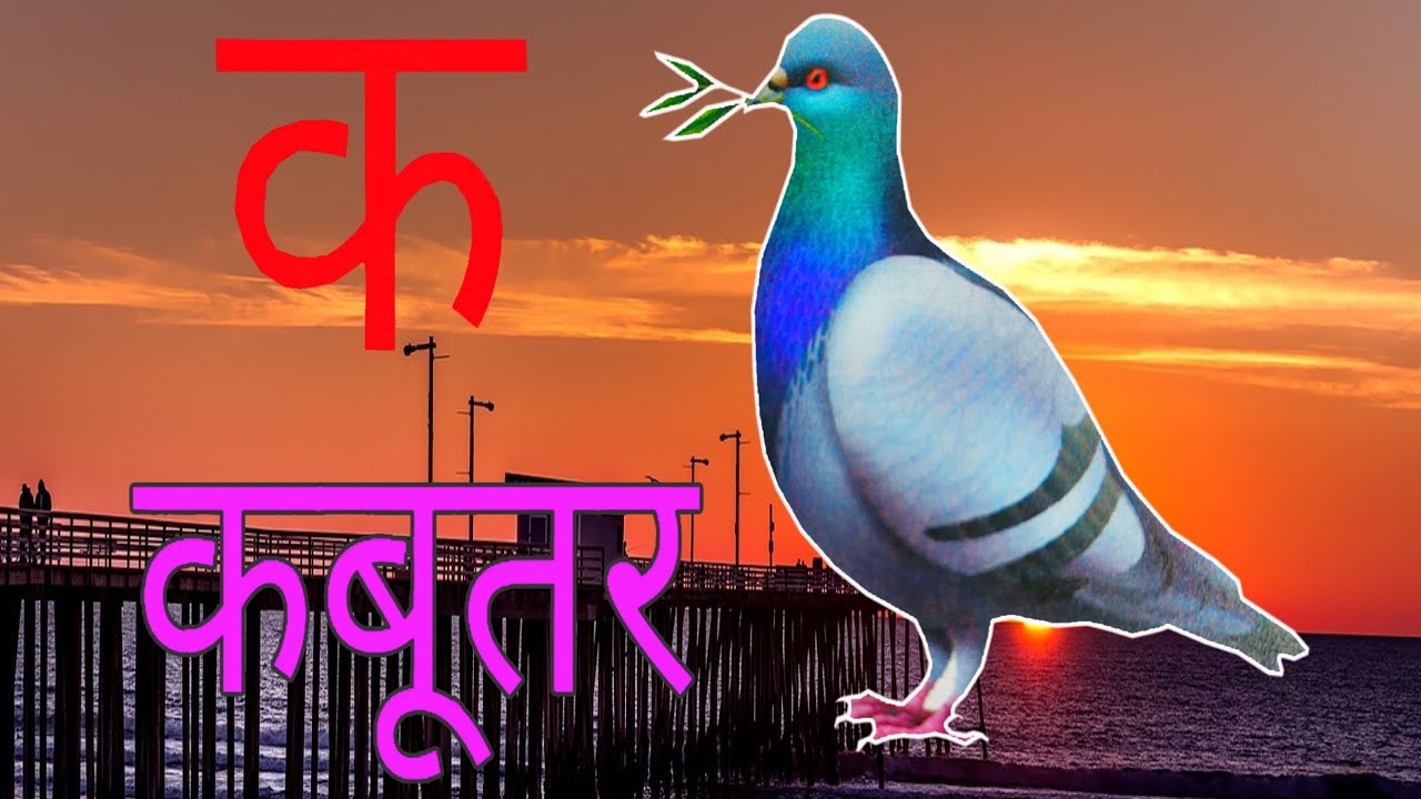 A Se Anar Aa Se Aam k Se Kbutar kabutar Wala Cartoon a Aa E ka Se Gya a-se-anar-aa-se-aam-k-se-kbutar-kabutar-wala-cartoon-a-aa-e-ka-se-gya