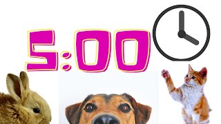 5 Minute Timer | Animals