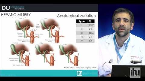 Surgical anatomy of the liver