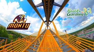 Montu - Inverted Roller Coaster | Front Seat 4K POV | Busch Gardens Tampa | 2023-07-07