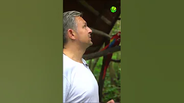 Самый крепкий клюв в мире