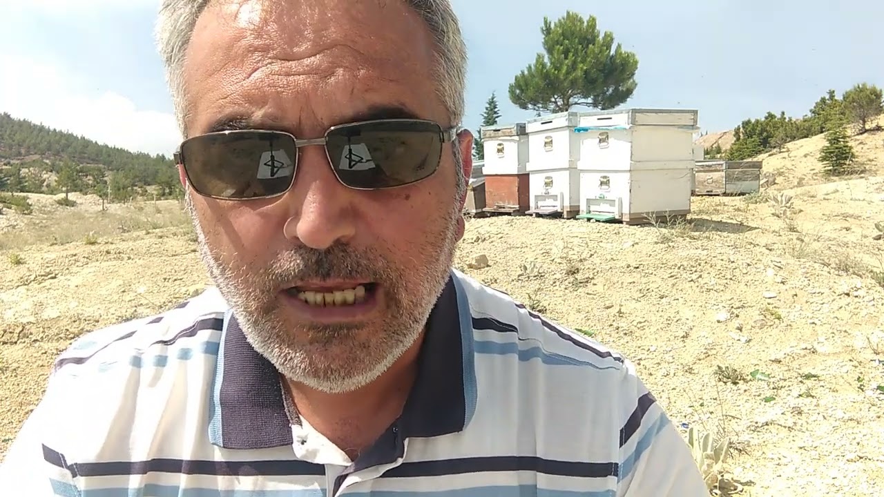 Arilarimizi bala hazırlıyoruz.. işimiz zor.. Facebook (bilmek anlamak) sayfamdan msj atabilirsiniz