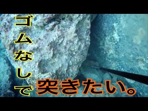 軽装魚突き 合凸 ゴムなしで突いちゃった 下ネタじゃないよ 16 11 12 Youtube