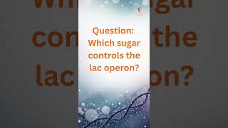 When Lactose Arrives, Genes Wake Up