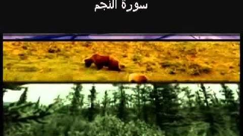 Surat An Najm (The Star) سورة النجم