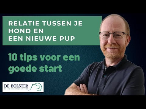 Video: Puppy's eerste 4 juli: hoe maak je er een positieve ervaring van?