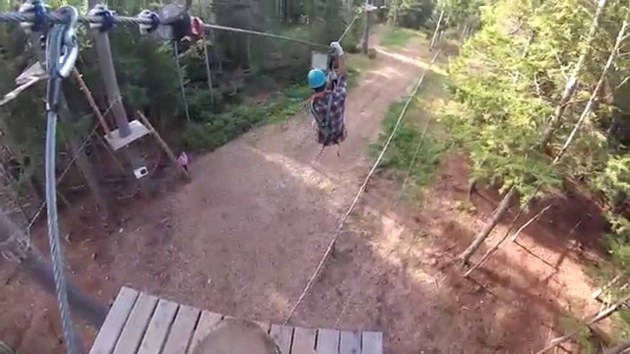 Adventure in the trees