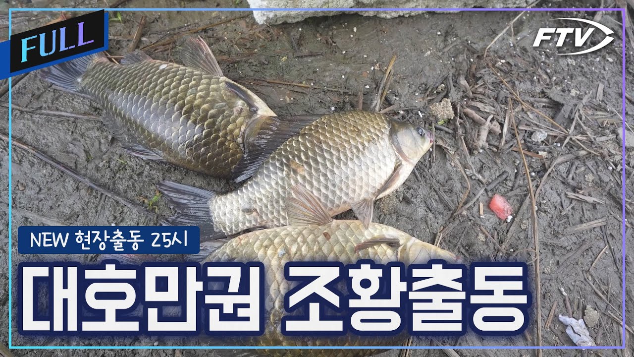 대호만 조황출동[NEW현장출동25시/51회]