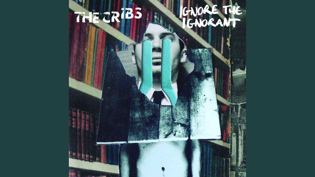 The Cribs – Ignore The Ignorant レコード 限定盤 The Cribs Ignore 