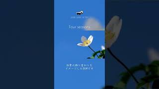 シネマティックな曲 #shorts #bgm #bgmlovers #vlog #曲#曲紹介 #ロイヤリティーフリー楽曲 #ロイヤリティーフリー音楽