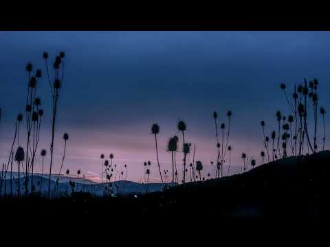 Robin Schulz - Eines Tages
