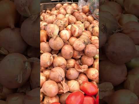 Hurricane Melissa Makes Food Prices High