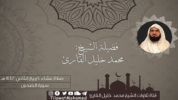 سورتي الضحى والشرح | محمد خليل القارئ | عشاء 10 ربيع الثاني 1442 هـ