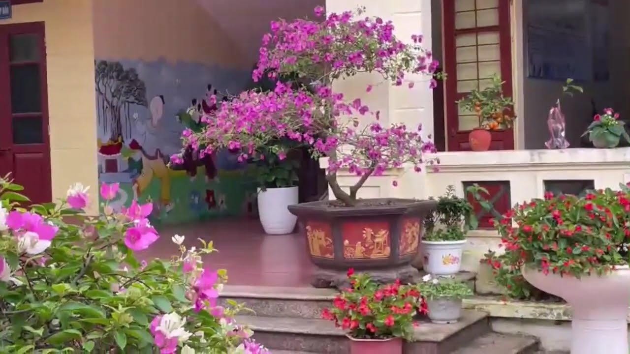 Cùng ngắm hoa thư giãn