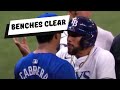 Blu Jays &amp; Rays Bench Clearance