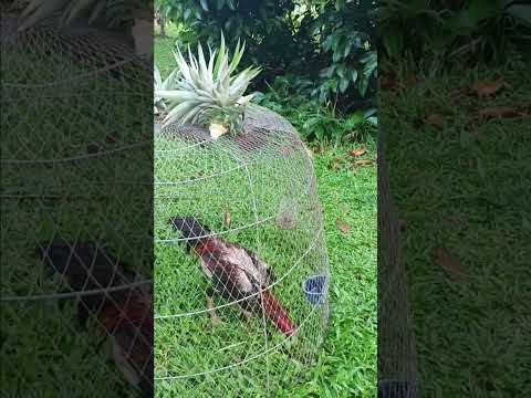 วันหยุด วันหยุด