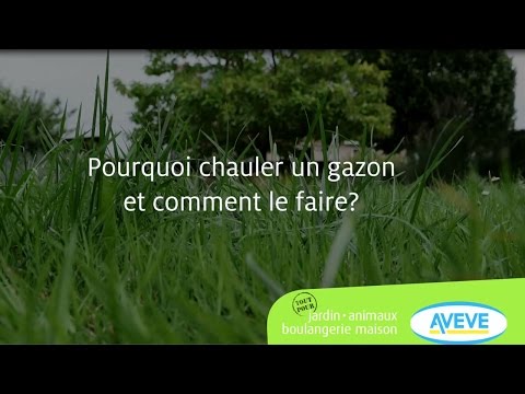 Vidéo: Traitement des pelouses à la chaux - Quand et comment chauler un jardin